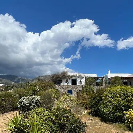Sophia Paros - Beachfront At Lolantonis