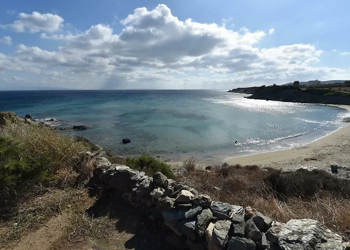 Sophia Paros - Beachfront At Lolantonis Villa Drios