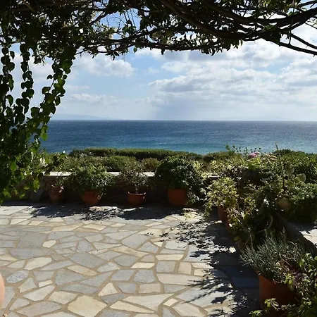 Sophia Paros - Beachfront At Lolantonis