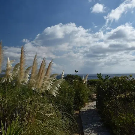 Sophia Paros - Beachfront At Lolantonis Villa