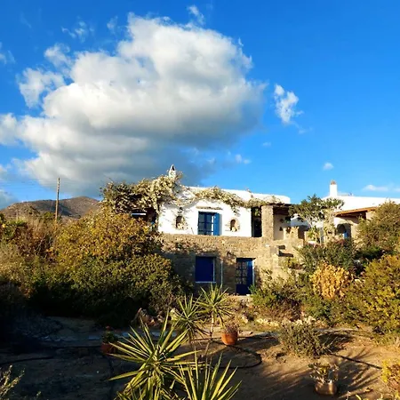 Sophia Paros - Beachfront At Lolantonis *