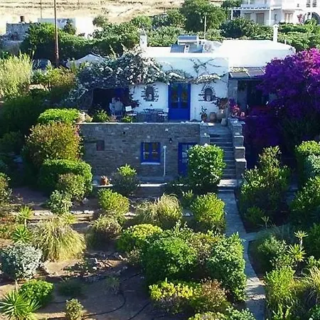 Sophia Paros - Beachfront At Lolantonis Villa Drios