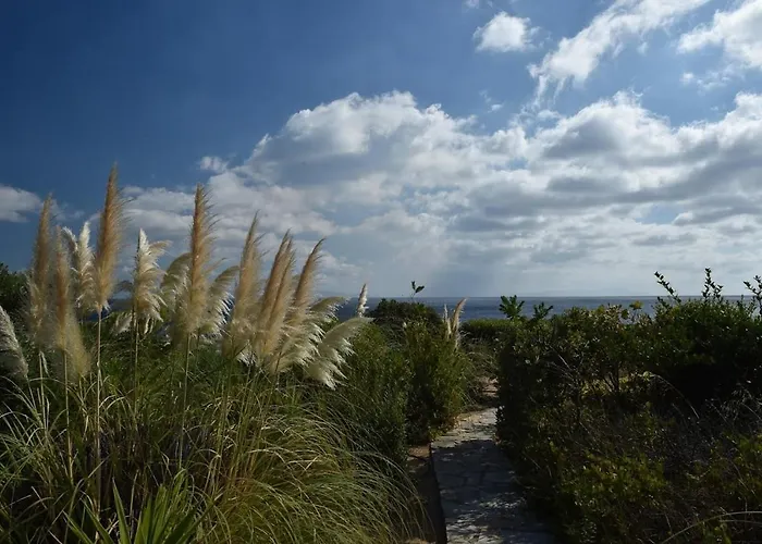 Sophia Paros - Beachfront At Lolantonis Vila